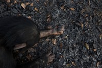 Life Framer Photography Awards