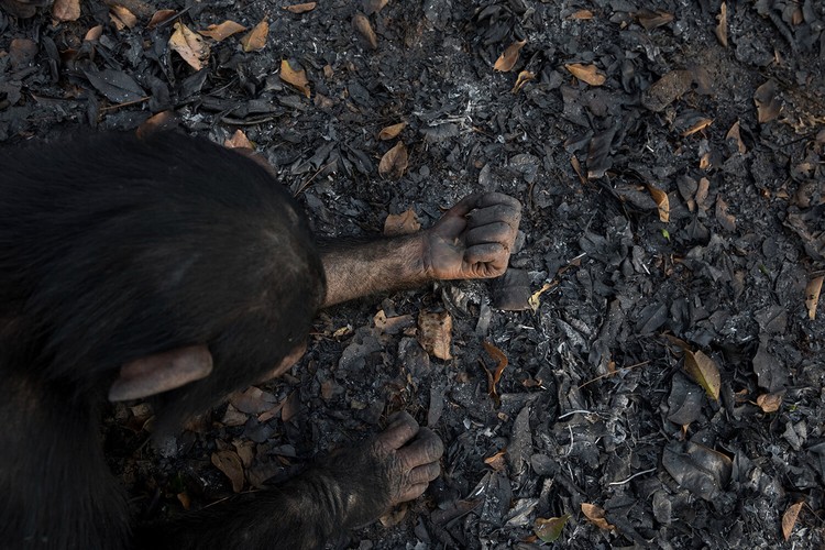 Life Framer Photography Awards