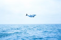 Life Framer Photography Awards