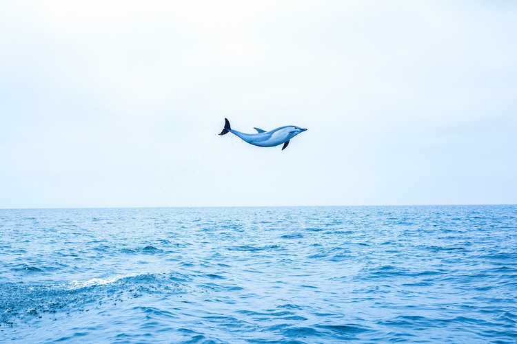 Life Framer Photography Awards