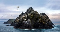 Life Framer Photography Awards