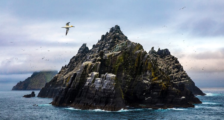 Life Framer Photography Awards