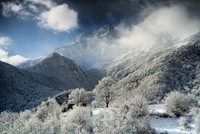 Life Framer Photography Awards