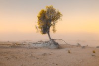 Life Framer Photography Awards