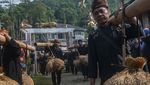 Melihat Tradisi Seren Taun Cisungsang di Lebak Banten
