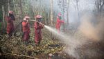 Pemadaman Kebakaran Lahan Gambut di OKI Sumsel