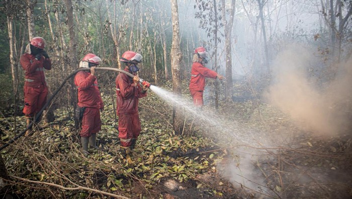Petugas dari Manggala Agni Daos Ogan Komering Ilir (OKI) dan Daops Lahat melakukan pemadaman kebakaran lahan gambut di Desa Deling, Pangkalan Lampan, Ogan Komering Ilir (OKI), Sumatera Selatan, Sabtu (26/8/2023). Balai Pengendalian Perubahan Iklim dan Kebakaran Hutan dan Lahan Wilayah Sumatera menerjunkan 45 orang personel Manggala Agni dari Daops OKI dan Lahat, untuk melakukan pemadaman kebakran lahan gambut di wilayah tersebut yang sudah terbakar sejak 17 hari yang lalu. ANTARA FOTO/Nova Wahyudi/hp.