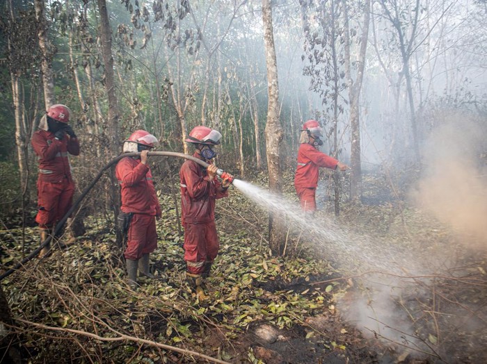 Petugas dari Manggala Agni Daos Ogan Komering Ilir (OKI) dan Daops Lahat melakukan pemadaman kebakaran lahan gambut di Desa Deling, Pangkalan Lampan, Ogan Komering Ilir (OKI), Sumatera Selatan, Sabtu (26/8/2023). Balai Pengendalian Perubahan Iklim dan Kebakaran Hutan dan Lahan Wilayah Sumatera menerjunkan 45 orang personel Manggala Agni dari Daops OKI dan Lahat, untuk melakukan pemadaman kebakran lahan gambut di wilayah tersebut yang sudah terbakar sejak 17 hari yang lalu. ANTARA FOTO/Nova Wahyudi/hp.