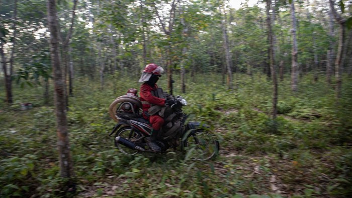 Pemadaman Kebakaran Lahan Gambut di OKI Sumsel Petugas dari Manggala Agni Daos Ogan Komering Ilir (OKI) dan Daops Lahat melakukan pemadaman kebakaran lahan gambut di Desa Deling, Pangkalan Lampan, Ogan Komering Ilir (OKI), Sumatera Selatan, Sabtu (26/8/2023). Balai Pengendalian Perubahan Iklim dan Kebakaran Hutan dan Lahan Wilayah Sumatera menerjunkan 45 orang personel Manggala Agni dari Daops OKI dan Lahat, untuk melakukan pemadaman kebakran lahan gambut di wilayah tersebut yang sudah terbakar sejak 17 hari yang lalu. ANTARA FOTO/Nova Wahyudi/hp.