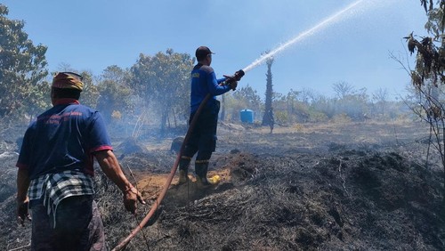 Petugas Damkartan Karangasem saat melakukan pemadaman terhadap lahan yang terbakar di wilayah Desa Baturinggit, Kecamatan Kubu, Minggu (27/8/2023). (Dok.Damkartan Karangasem)