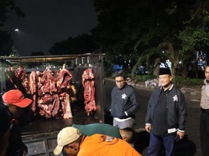 Hasil Lab Sebut Daging Sapi Ditemukan di Pegirian Terindikasi Gelonggongan