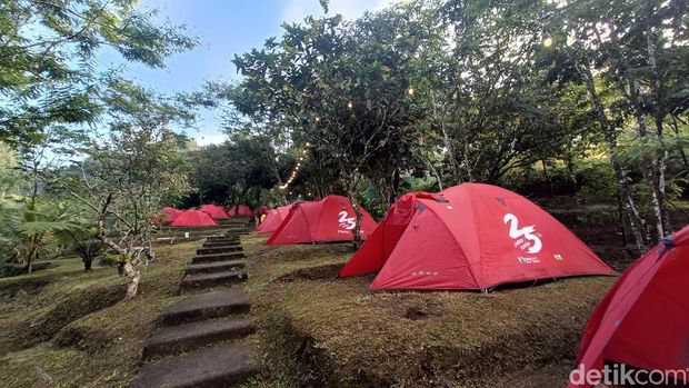 Suasana Taman Botani Baturraden di Banyumas, Minggu (27/8/2023).