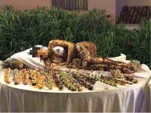 Bikin Risih, Hotel Mewah Sajikan Wanita Berbikini Berlumur Cokelat