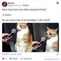 Hidup sebagai seorang programmer nggak gampang dan penuh tantangan. Siapa nih yang cita-citanya jadi programmer, acung jari!