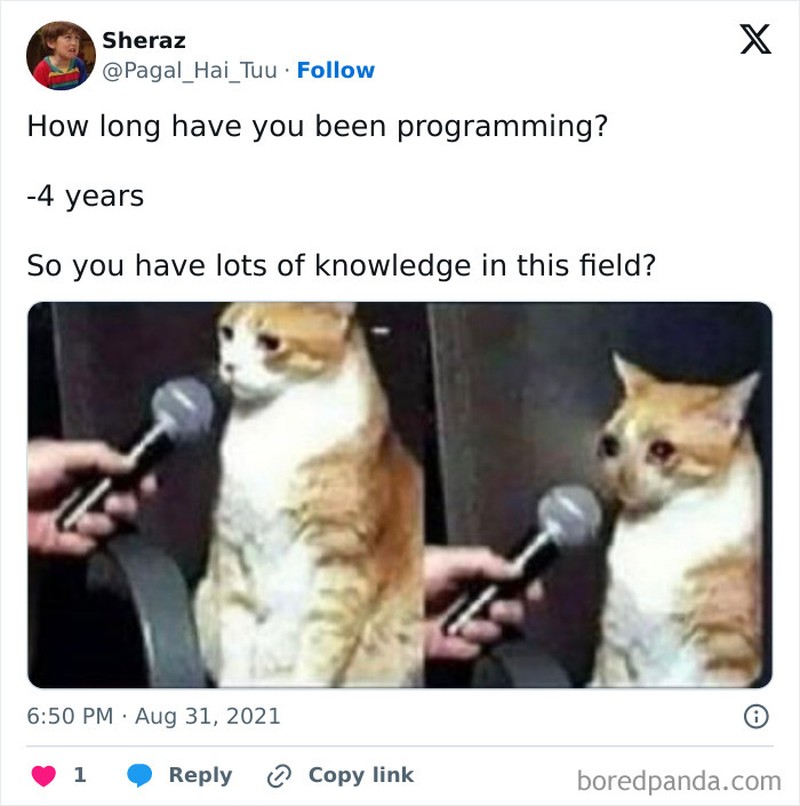 Hidup sebagai seorang programmer nggak gampang dan penuh tantangan. Siapa nih yang cita-citanya jadi programmer, acung jari!