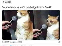 10 Meme yang Cuma Dipahami Programmer