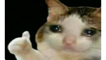 Penuh perjuangan untuk bisa coding. Foto: IBN_E_KHAN via Bored Panda