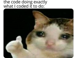 10 Meme yang Cuma Dipahami Programmer