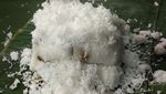 20 Kue Putu Bambu yang Harum Legit Ada di Sini