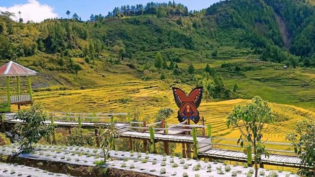 Agrowisata Buntu Lemo, Luwu Utara