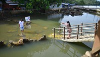 Objek wisata legenda tentang anak durhaka yang dikutuk menjadi batu itu terendam banjir akibat intensitas hujan tinggi sepekan terakhir. 