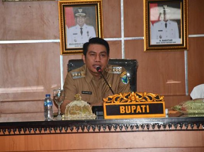 Bupati Batang Hari Fadhil Arief