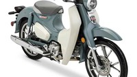 Motor bebek klasik ini menggunakan jok single dan tidak bisa buat boncengan. Tapi Honda tetap menyediakan aksesori tambahan untuk jok pembonceng yang dijual secara terpisah. Foto: Dok. Honda Powersports