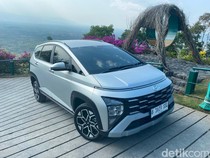 Stargazer X Model Ini Paling Banyak Peminatnya
