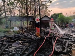 Rumah dan 3 Kandang di Lamongan Terbakar, 6 Sapi dan 1 Kambing Terpanggang
