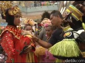 Lucunya! Puluhan Kucing Berbusana Nusantara Lenggak-lenggok di Catwalk