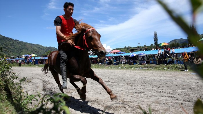 Sejumlah joki saling memacu kudanya saat mengikuti lomba pacuan kuda tradisional Gayo di Lapangan Belang Bebangka, Pegasing, Aceh Tengah, Aceh, Minggu (27/8/2023). Pacuan kuda tradisional dalam rangka memeriahkan HUT ke-78 kemerdekaan Indonesia itu diikuti 170 peserta dari berbagai daerah di dataran tinggi Gayo. ANTARA FOTO/Irwansyah Putra/YU