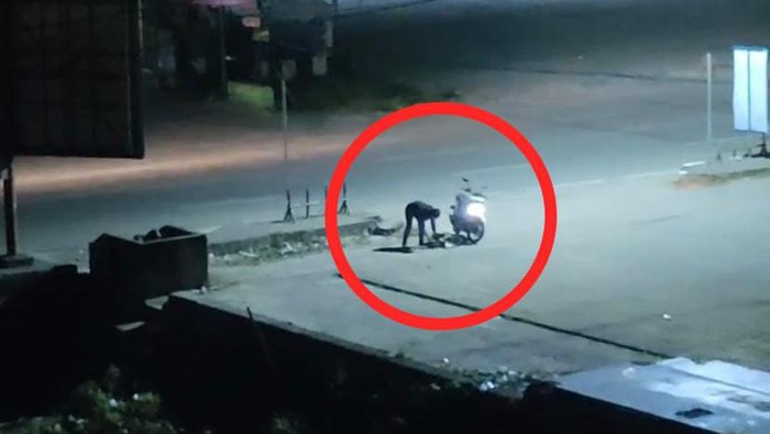 Pengendara motor di Kendari diduga siksa anjing hingga mati.