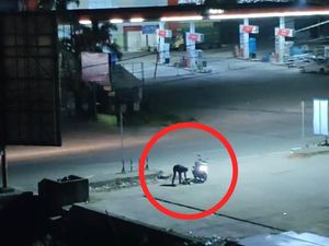 Kronologi Pengendara Motor di Kendari Diduga Siksa Anjing hingga Mati