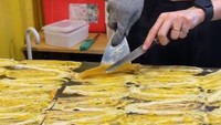 Setelah mulai berubah kecokelatan bagian bawahnya, pancake akan diangkat dengan bantuan spatula. Adonan pancake digulung dengan adonan di barisan depannya. Foto: TikTok/bangkokfoodie