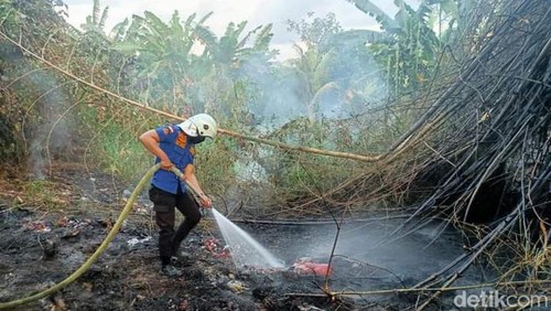 Petugas damkar memadamkan api di salah satu lahan di Buleleng, Bali.
