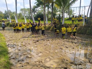 Tak Cuma Tempat Swafoto, Svargabumi Tawarkan Sensasi Tanam Padi di Sawah