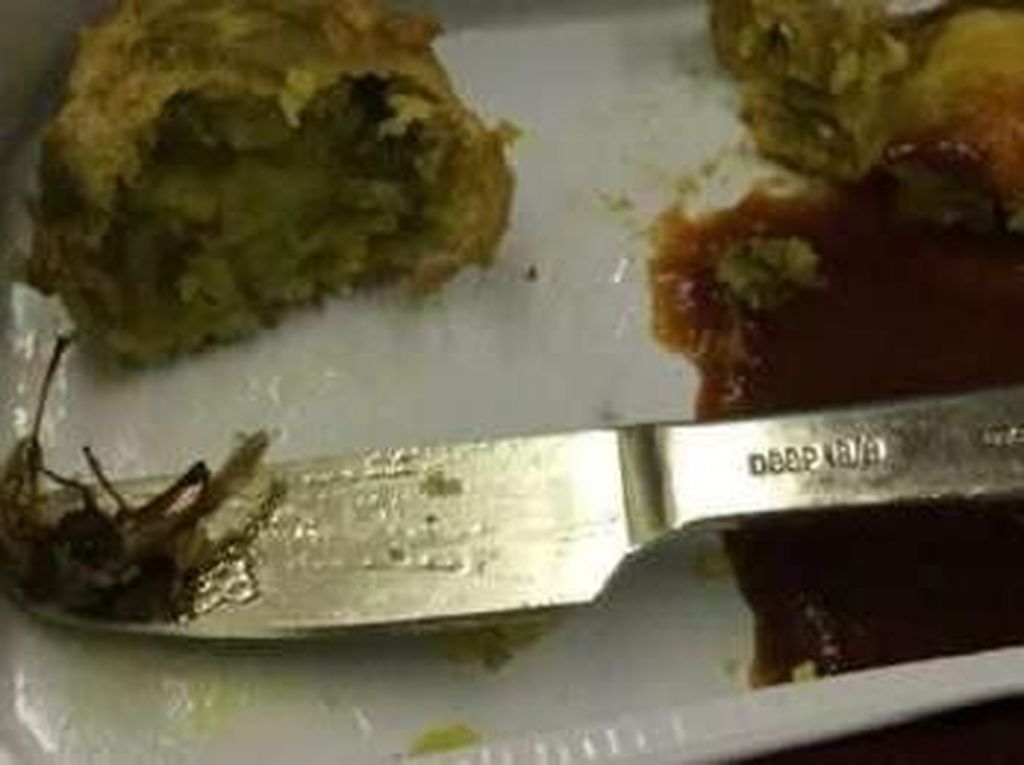 5 Penemuan Aneh di Dalam Makanan Pesawat, Bikin Mual Penumpang!