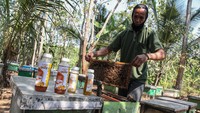 Kelompok peternak lebah Mitra binaan PT Jamkrindo yang memproduksi madu tersebut mampu menghasilkan dua kilogram madu dalam tiga sampai empat kali panen dari total 90 kotak lebah.  