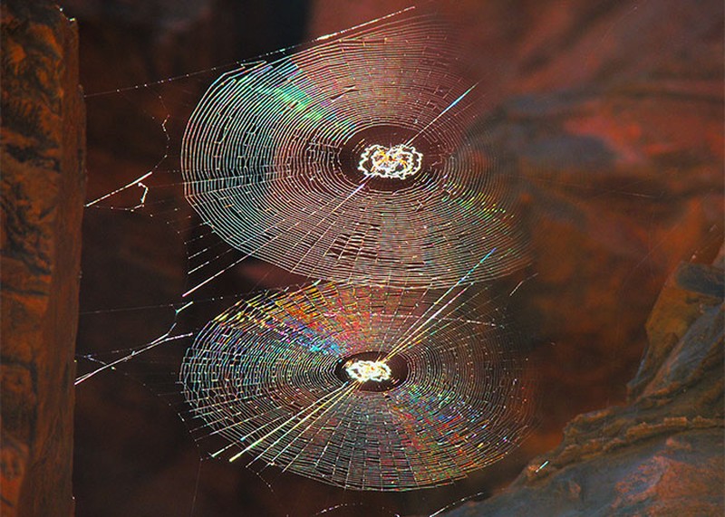 fakta menarik belum diketahui