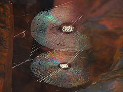 Fakta Menarik Tapi Belum Banyak Diketahui hingga Hari Ini