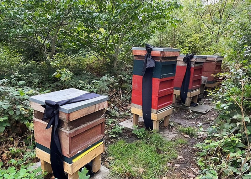 fakta menarik belum diketahui