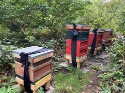 Fakta Menarik Tapi Belum Banyak Diketahui hingga Hari Ini