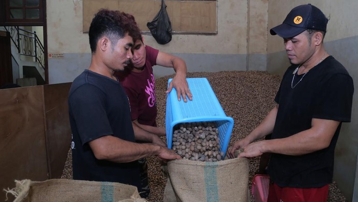 Harganya Menggiurkan, Petani Cengkeh Beralih Tanam Pala Petani cengkeh di Desa Jarak, Jombang, beralih menaman pala. Hal ini karena harga pala lebih menggiurkan.