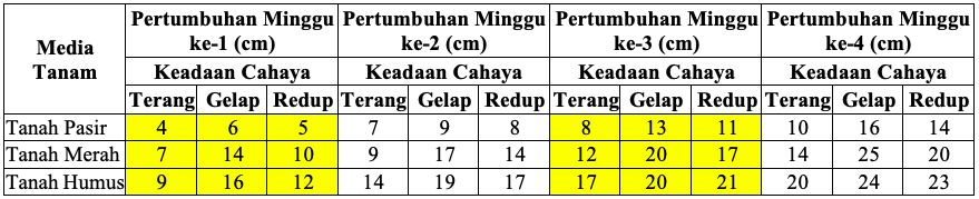 Ilustrasi contoh soal ANBK numerasi untuk tingkat SMA/SMK dan sederajat