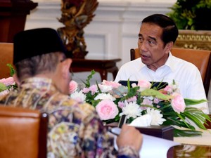Instruksi Jokowi Agar Pohon Besar Ditanam Demi Atasi Polusi