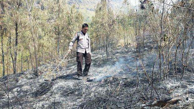 Kebakaran hutan dan lahan di lereng Gunung Arjuno.
