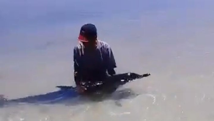 Lumba-lumba sakit menepi di Pantai Pagerungan Kecil, Sumenep.