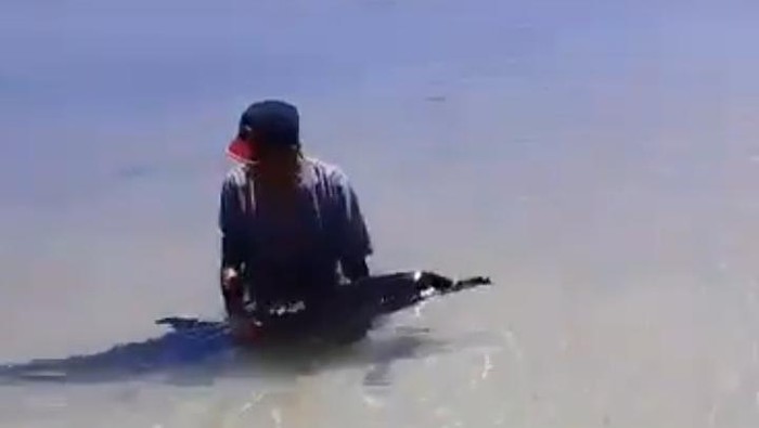 Lumba-lumba sakit menepi di Pantai Pagerungan Kecil, Sumenep.