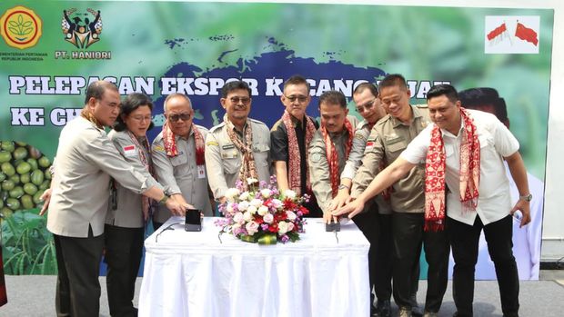 Mentan Lepas Ekspor Kacang Hijau ke China