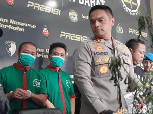 Tanam Pohon Ganja Bikin Pesulap Oge Arthemus Jadi Tersangka